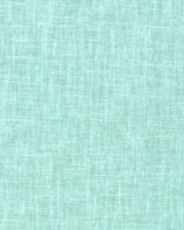 Mint Whisper Plain Drapes