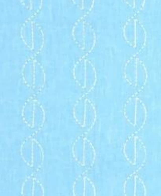 Sky Whisper Embroidery Drapes