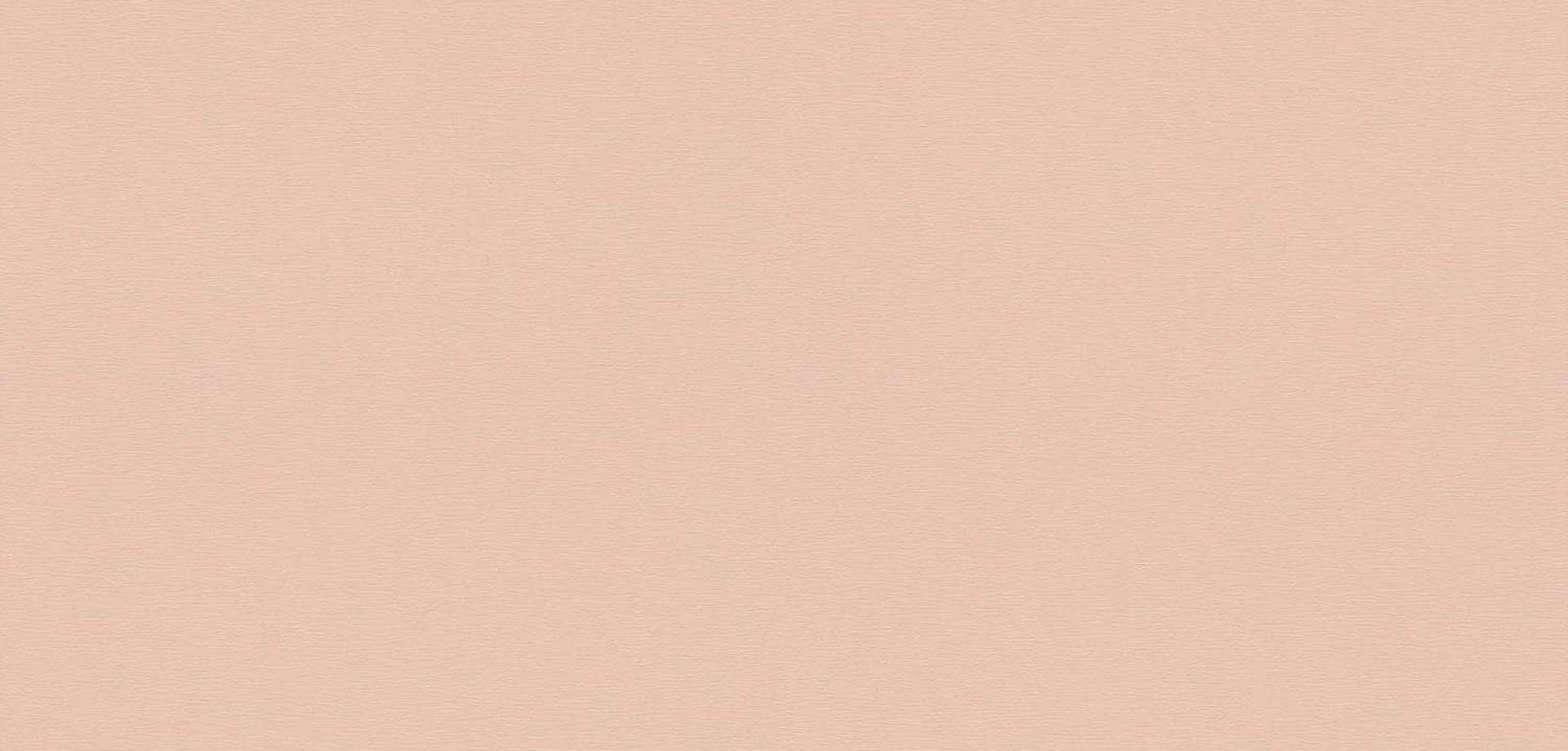Muted Blush Matte Wallpaper
