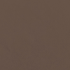 Warm Earth Brown