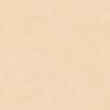 Sunlit Beige