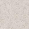 Stone Gray