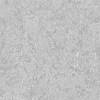Light Silver