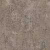 Warm Earth Brown