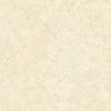 Beige Plaster