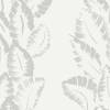 Silvery Ivory