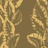 Olive Brown