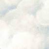 Cloud White