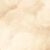 Warm Beige