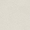 Soft Ivory Cream