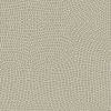 Muted Warm Beige