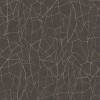 Charcoal Black