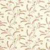 Terracotta Brown