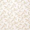 Warm Beige