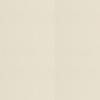 Warm Cream Beige