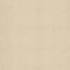 Muted Sand Beige